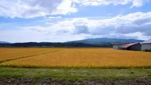 Geografia Agrária