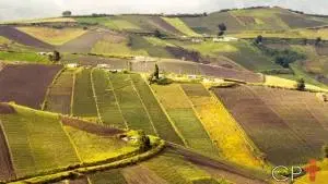 Planejamento Ambiental Rural