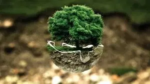 Concepções Iniciais da Gestão Ambiental