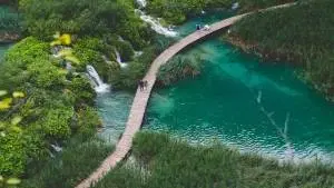 Ecologia e Análises Ambientais