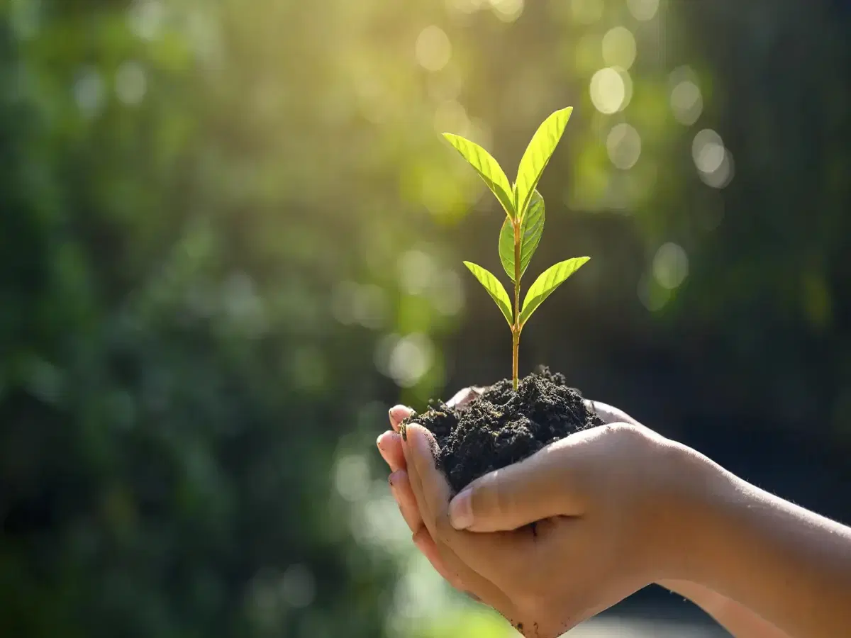 Gestão Ambiental