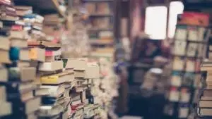 Língua Portuguesa / Literatura / Artes