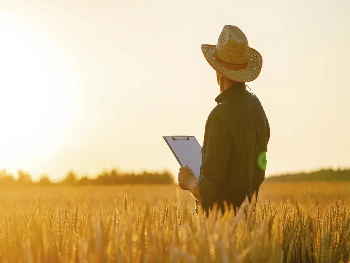 Logística Aplicada ao Agronegócio
