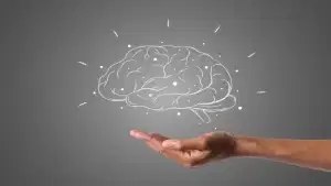 Neurogestão Organizacional e Comportamento