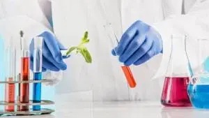 Nutrição, Avaliação e Bioquímica Nutricional