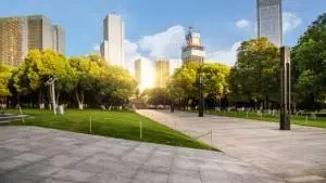 Projeto de Paisagismo