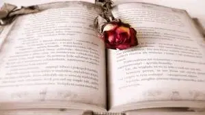 Teoria da Literatura II