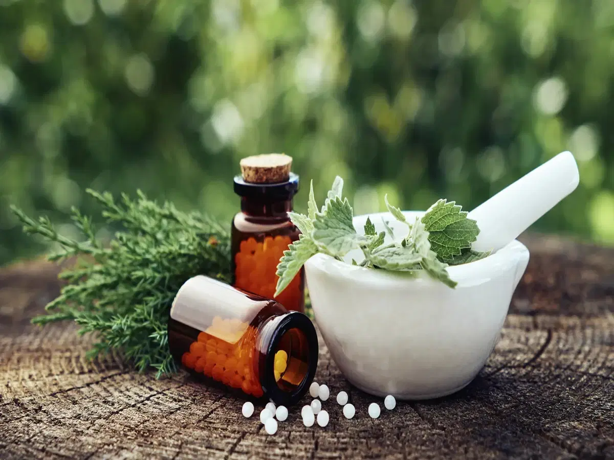Alimentos Funcionais e Fitoterapia
