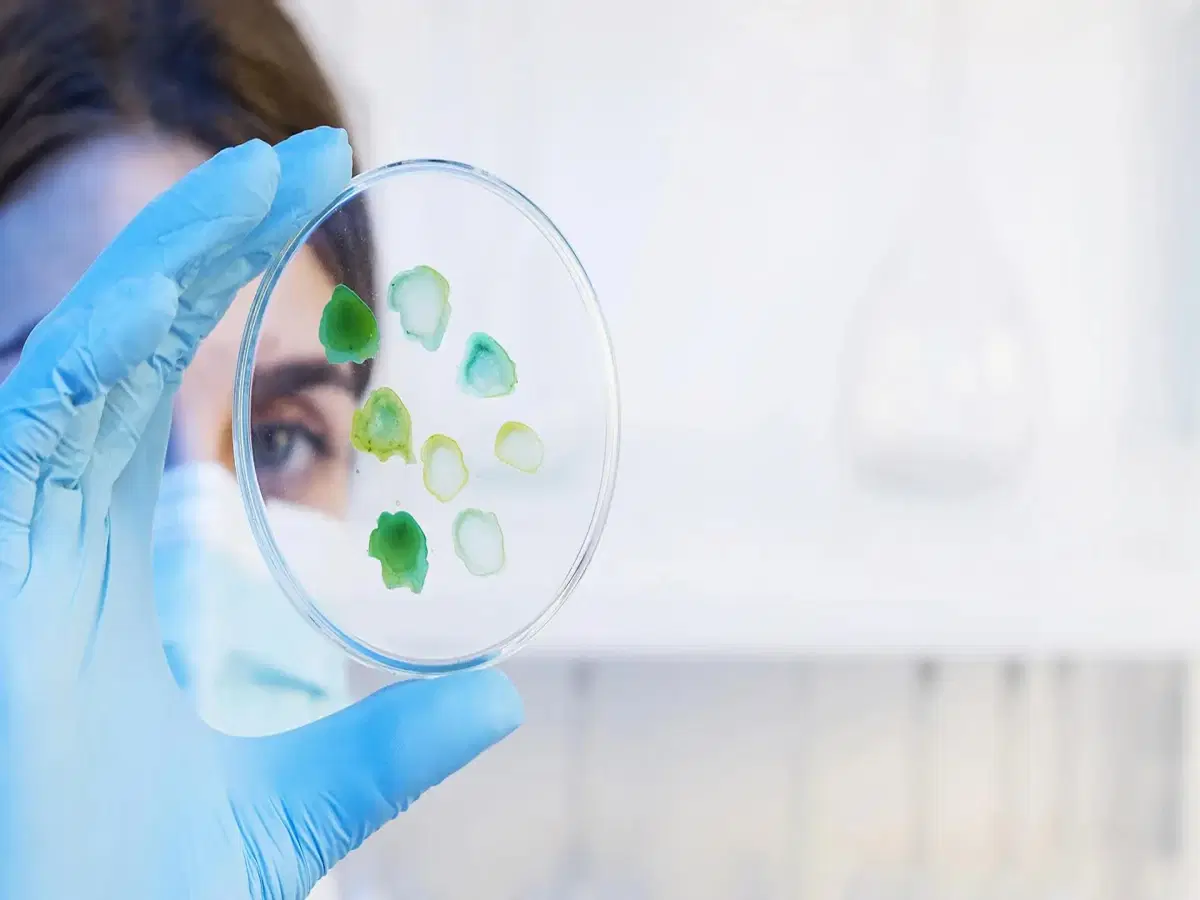 Bioquímica Clínica