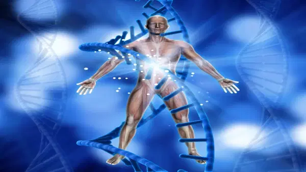Bioquimica Humana