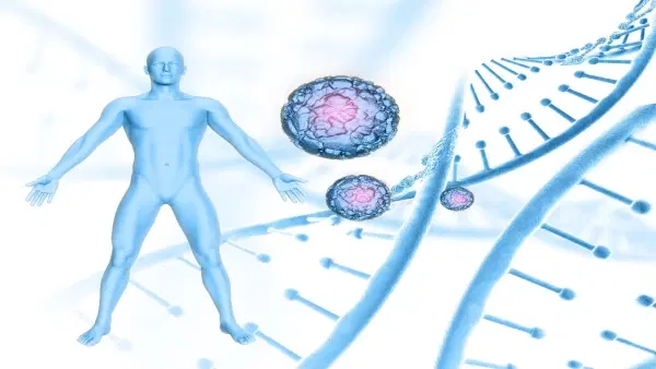 Bioquímica Sistêmica