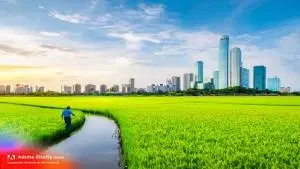 Casos de Sucesso na Educação Ambiental