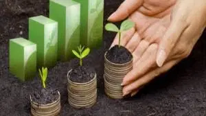Administração e Gestão Financeira voltada ao Agronegócio