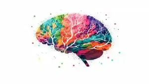 Como a neurociência pode ajudar os professores?