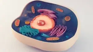 Biologia Celular