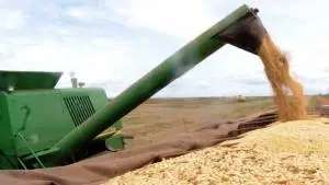 Cadeias Produtivas do Agronegócio II