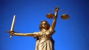 Direito Constitucional II