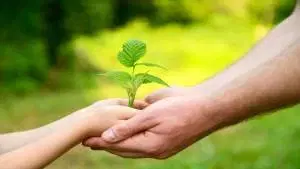 Ecologia e Sustentabilidade