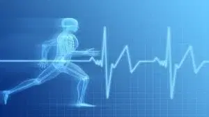 Fisiologia da Atividade Motora