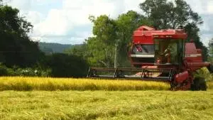 Gestão e Direito aplicado ao Agronegócio