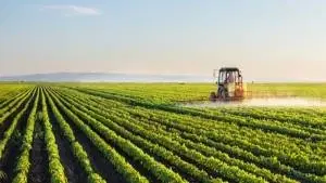 Políticas Públicas Setoriais no Agronegócio