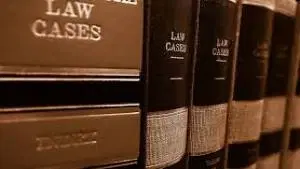 Teoria do Processo Judicial e Extrajudicial