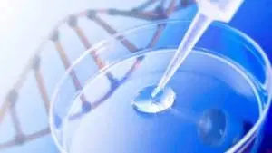Biologia Molecular e Biotecnologia