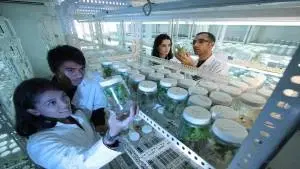 Biotecnologia