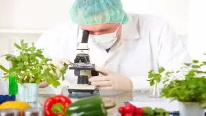 Bromatologia