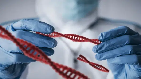 Citologia, Histologia e Genética: