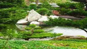 Concepções Básicas de Paisagismo