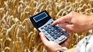 Contabilidade Básica voltada ao Agronegócio