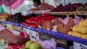 Controle e Qualidade dos Alimentos