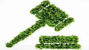 Direito e legislação ambiental