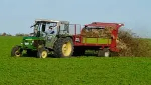 Gestão da Produção orientada ao Agronegócio