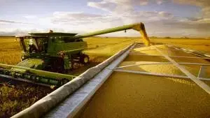 Gestão da Produtividade no Agronegócio