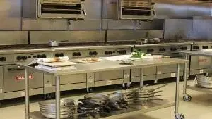 Inovação e Tecnologia em Alimentação