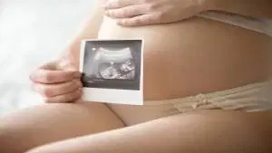 Introdução a Embriologia Clínica