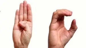 Fundamentos da Linguagem e Libras