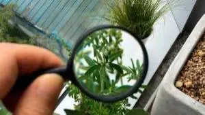 Microbiologia Ambiental em Agronomia