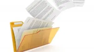Noções de Documentação Fiscal Eletrônica