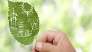 Responsabilidade Social e Meio Ambiente