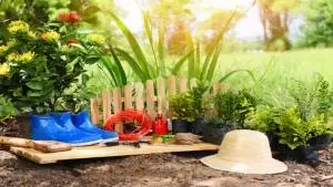Design de Interiores e Composição de jardins