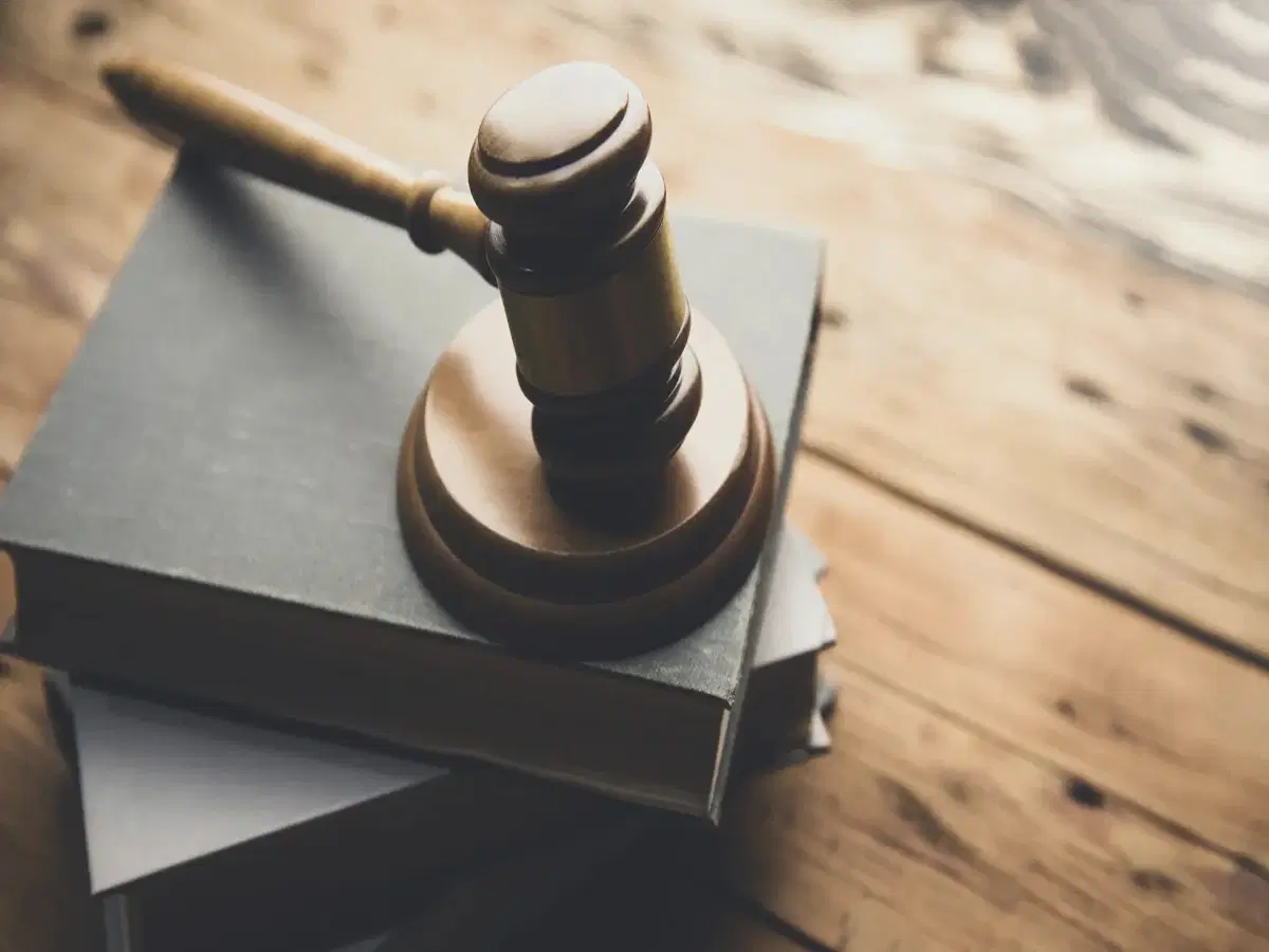 Direito e as Profissões Jurídicas