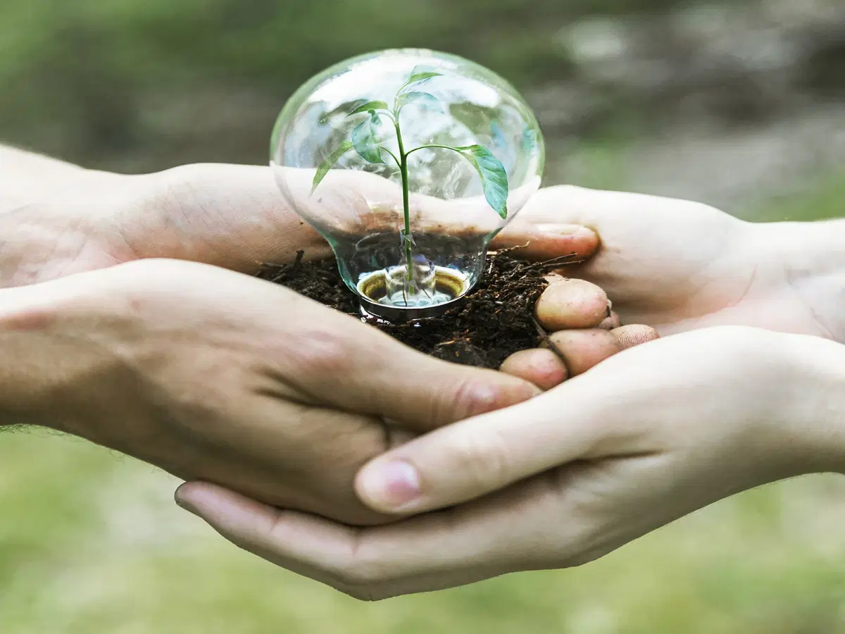 Ecologia