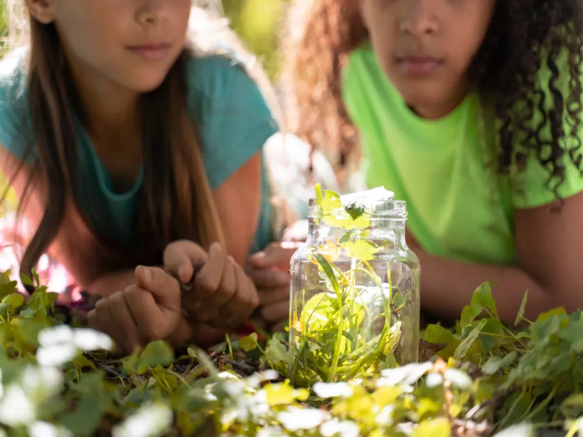 Educação Ambiental