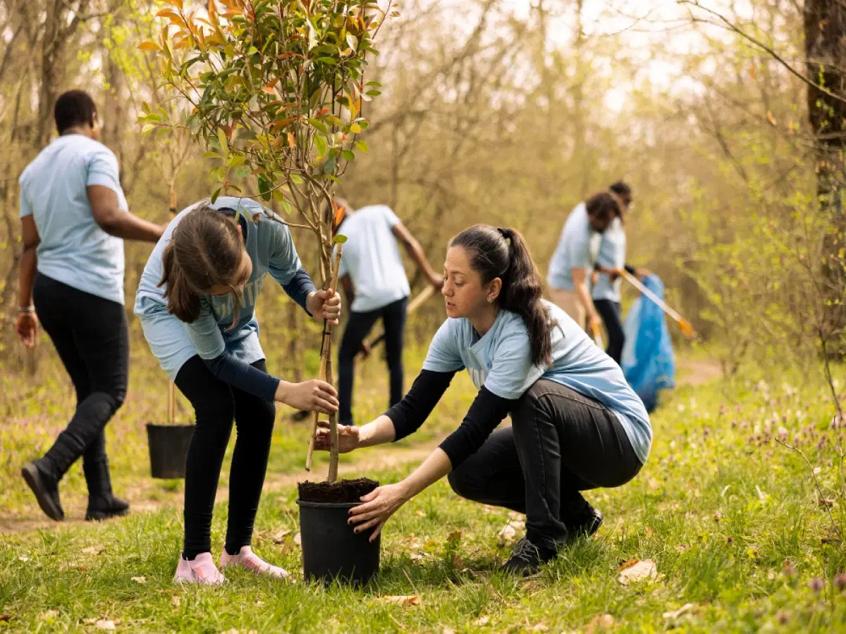Educação Ambiental, Sustentabilidade e ESG