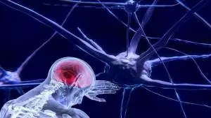 Fundamentos de Neurociências