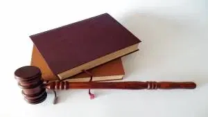 Fundamentos do Direito Constitucional: Poder Legislativo e Atendimento ao Público