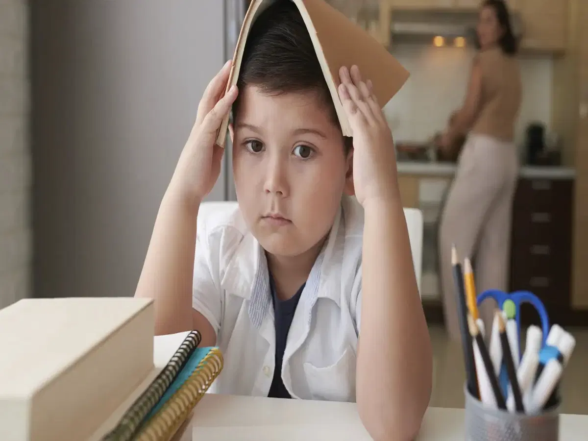 Inclusão e Educação para Necessidades Educacionais Especiais